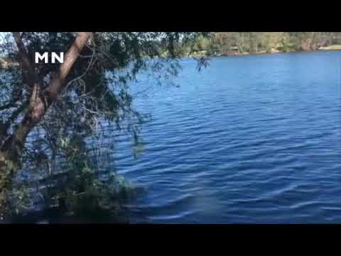 من نمیګویم که عاقل باش یا دیوانه باش- زنده یاد استاد رحیم بخش