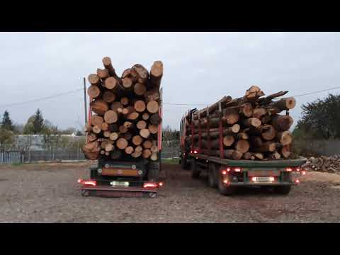 Caru' Cu Lemne - Trivalea Mosteni