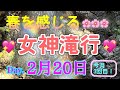 【女神滝行】２月３回目のお滝行