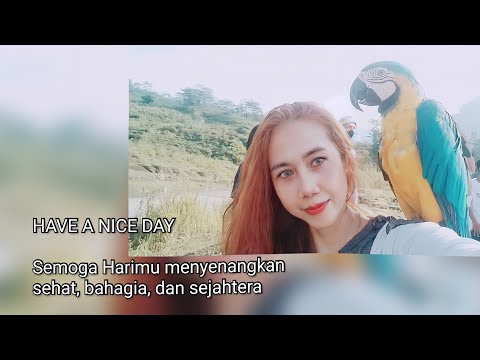 HAVE A NICE DAY || MORE THAN WORDS BY QUEEN SARINAH SOEKARNO