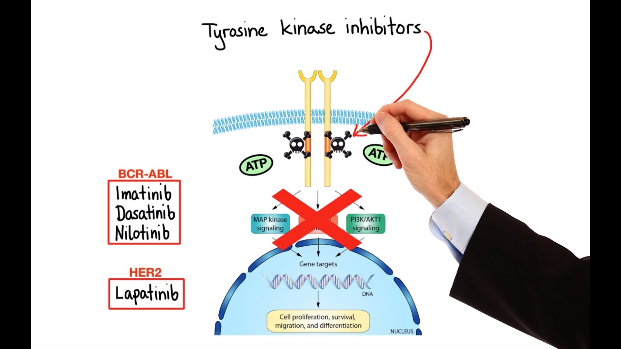 Pharmacology - CANCER DRUGS – CELL CYCLE INHIBITORS (MADE EASY)