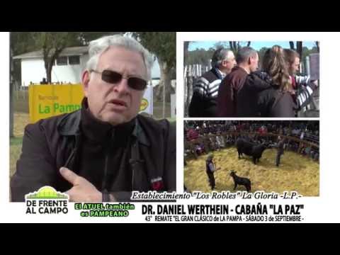 DE FRENTE AL CAMPO junto a CABAÑA "LA PAZ" de DANIEL WERTHEIN