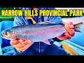 Video Thumbnail for Trout Fishing & Camping at Narrow Hills Provincial Park (Catch Clean Cook)