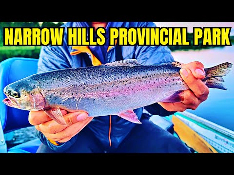 Trout Fishing &amp; Camping at Narrow Hills Provincial Park (Catch Clean Cook)