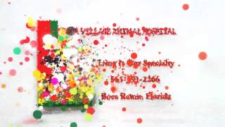 preview picture of video 'Boca Village Animal Hospital, Boca Raton Fl'