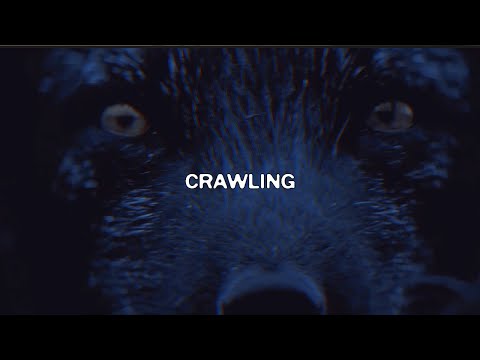 $UICIDEBOY$ X NIGHT LOVELL - CRAWLING (LYRIC VIDEO)