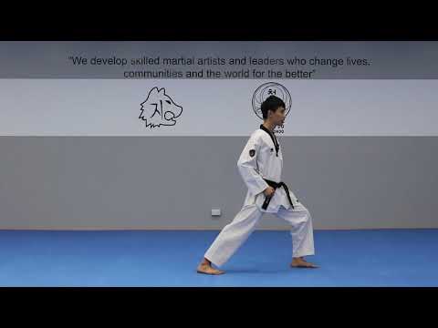 basic poomsae stances | chungdo 청도 태권도
