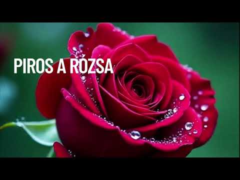 Burai Csaba-Piros a rózsa (Official Music Video)