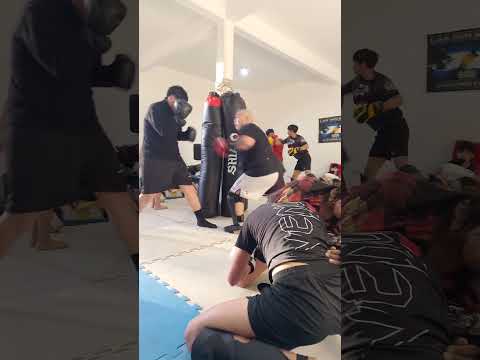 ALWAYS IN A DAMN THERAPY PITBULL GYM JUNÍN DE LOS ANDES