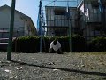 Reverse grip 20 Muscle ups+12 Chin ups+100 Push ups+10 Muscle ups