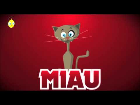 download lagu mp3 mp4 Songtext Im Radio Ist Ein Kken, download lagu Songtext Im Radio Ist Ein Kken gratis, unduh video klip Songtext Im Radio Ist Ein Kken