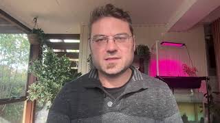 Consulting TALK LIVE