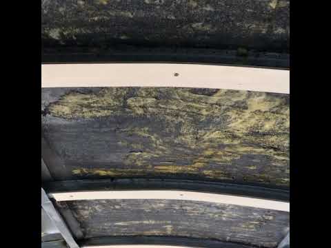 Inside View of 12" School Bus Roof Raise | Raised Roof Skookie | School Bus Conversion