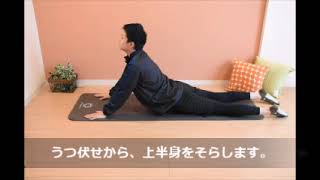 東大名誉教授監修トレーニンググッズ UTCCオンラインストア 東京大学