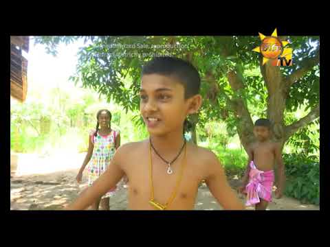 Hiru TV