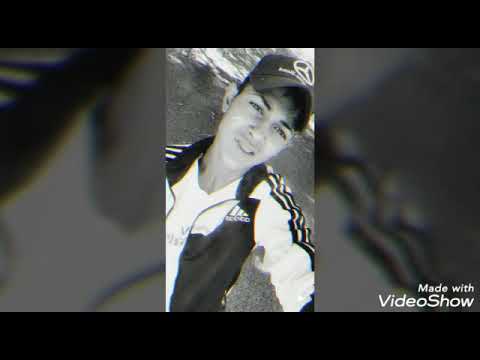 Syraikata pleven krasi legendata😍😘HIT