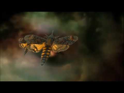 PHONETIX - PHONETIX - Smrtihlav