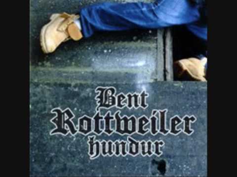 bent ft blasroca - rottweiler hundur