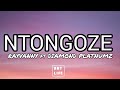 Rayvanny ft Diamond Platnumz _ Nitongoze lyrics video