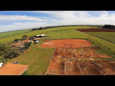 Voo 228 de Paramotor IKE Costa - 12/06/22 - Ninho dos Condores