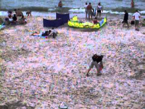 Międzywodzie - widok popołudniowy (godz. 17:00)