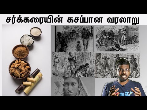 சர்க்கரையின் கசப்பான வரலாறு | The Bitter History of Sugar | Big Bang Bogan