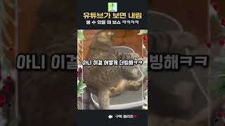 유튜브 썸네일