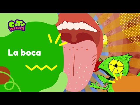 La boca | Camaleón y las naturales ciencias 3° temporada