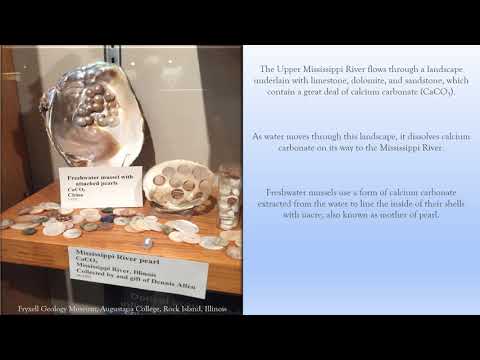 Upper Mississippi River Freshwater Mussel Pearl Button Industry