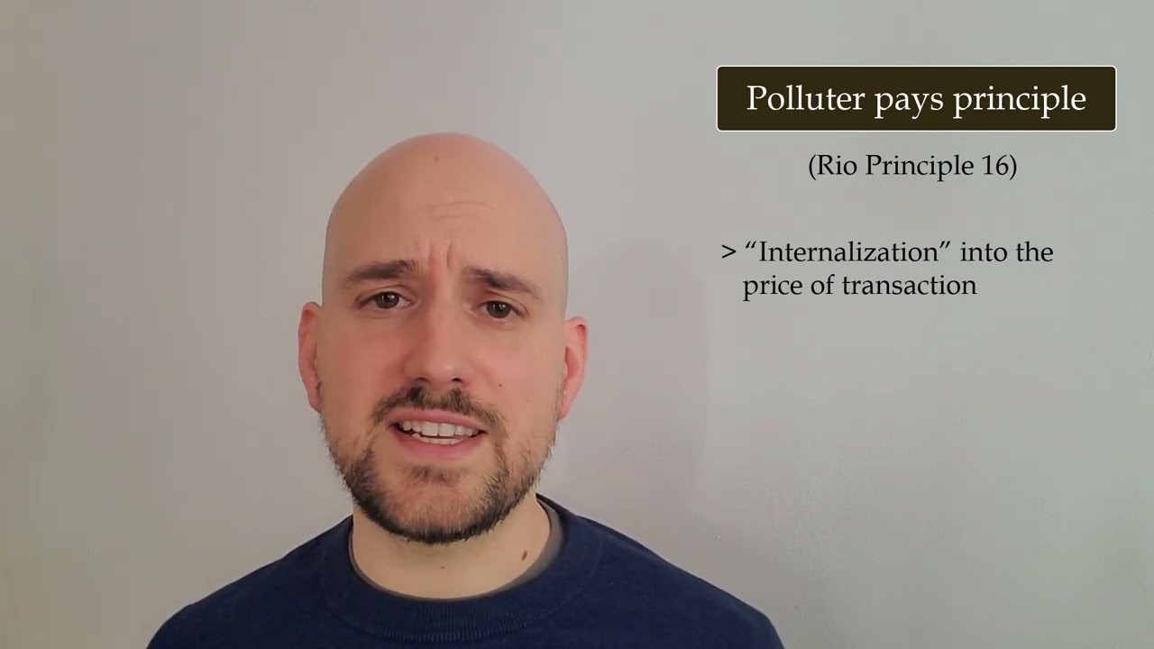 The precautionary and polluter pays principles