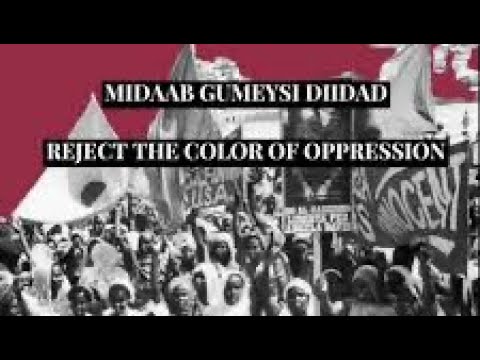 Reject the Color of Imperialism {Midab Gumeysi Diida}