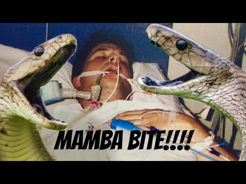Bitten by a Black Mamba - My Story