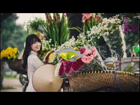 HÀ NỘI MÙA LÁ BAY