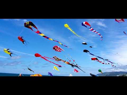 Udi Udi Jaye Kites