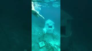 Royal Caribbean Onboard Adventure