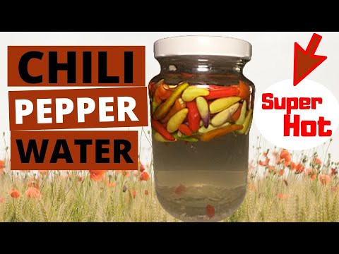 Chili Pepper Water 🌶️🚰 | Hot and Aromatic Hot Sauce
