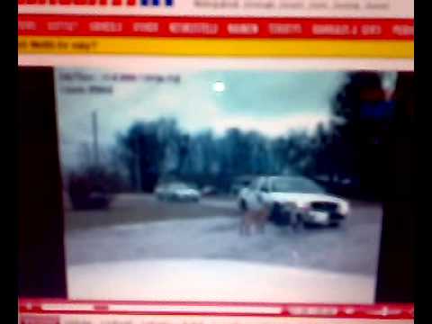 Huhu olipa taas uutinen