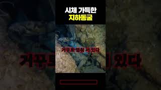 Download lagu 시체 가득한 지하동굴 mp3