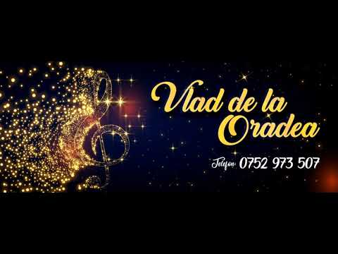 Vlad de la Oradea - Dau moda (live cover) 2020