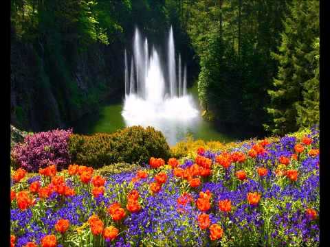 AUREL JAUPI - MERRE DJALIN SHKO ME TE