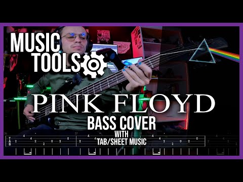 Pink Floyd - Money | Bass Cover | Styfler Fonsek