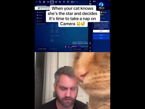 She's the Star 🐈😴