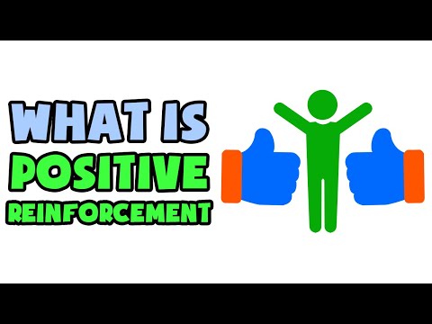What is Positive Reinforcement | Explained in 2 min