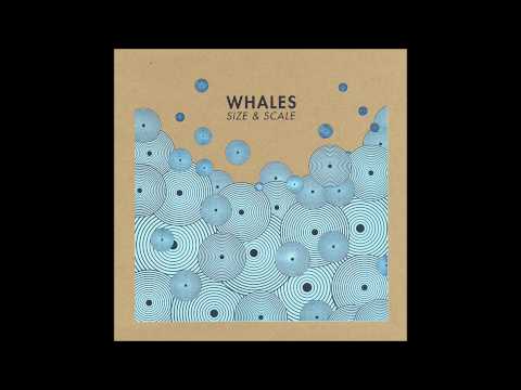 Whales - Adrift