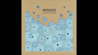 Whales - Adrift