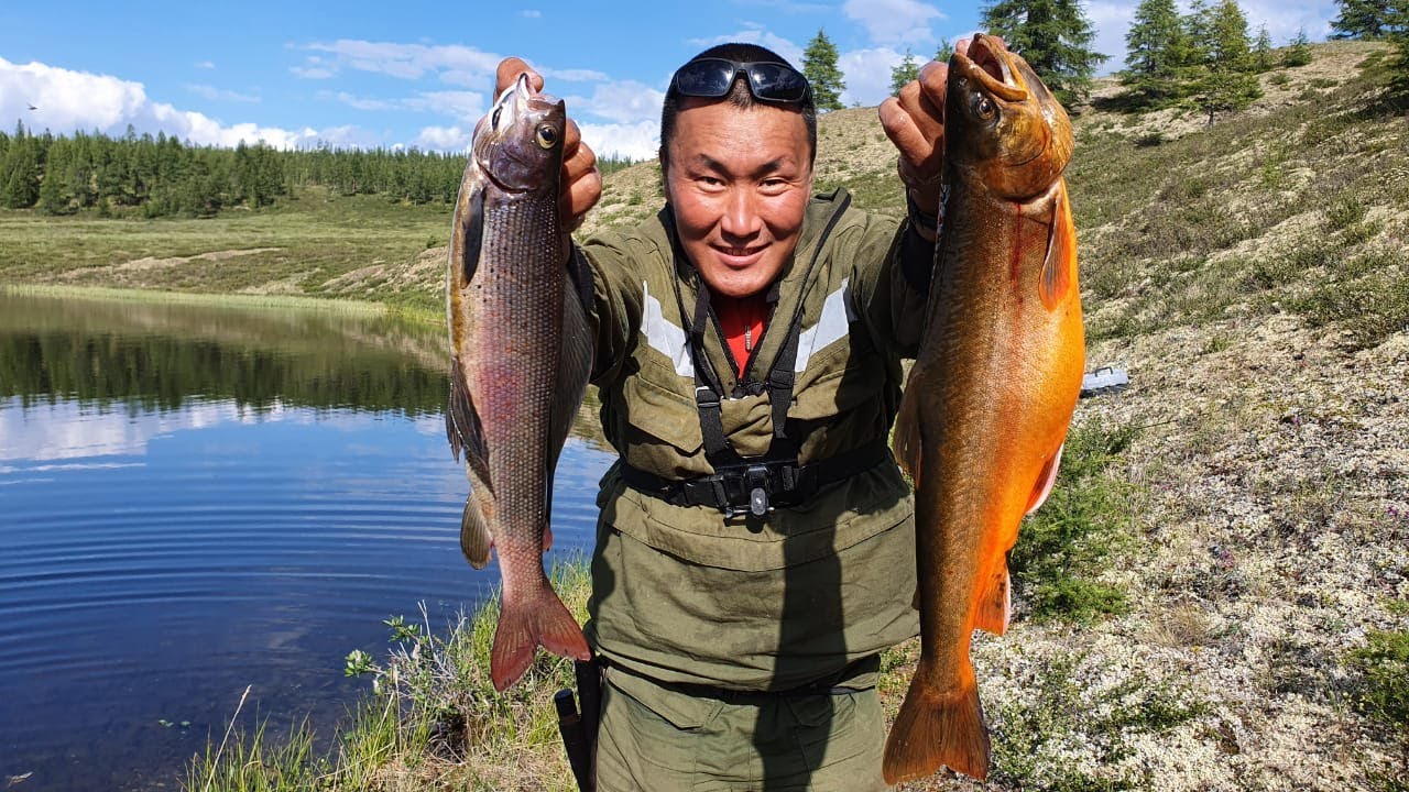 Поймал золотую рыбку Сбылась мечта ) рыбалка в Якутии