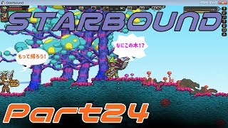 【STARBOUND】実況Part24「ジャングルなのに…！？」