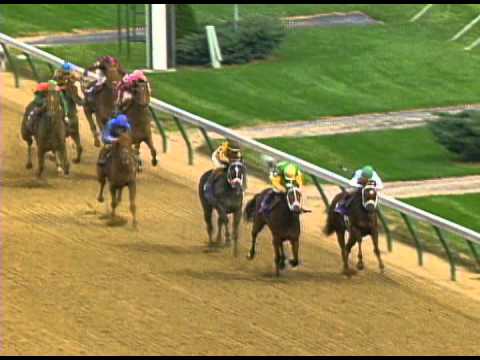 TVG Breeders' Cup Moment - Flanders