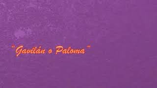 Chayanne - Gavilán O Paloma (Lyric Video)