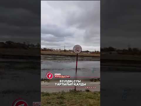 Астанаға көлтаусар келіп қалған ба?